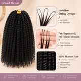 Front-facing beauty portrait of a Black woman with dense, defined Afro curly human hair crochet extensions, natural finish, soft makeup, and elegant studio background.