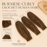 Front and back view of Highlight 4/27 Burmese Curly crochet human hair protective style