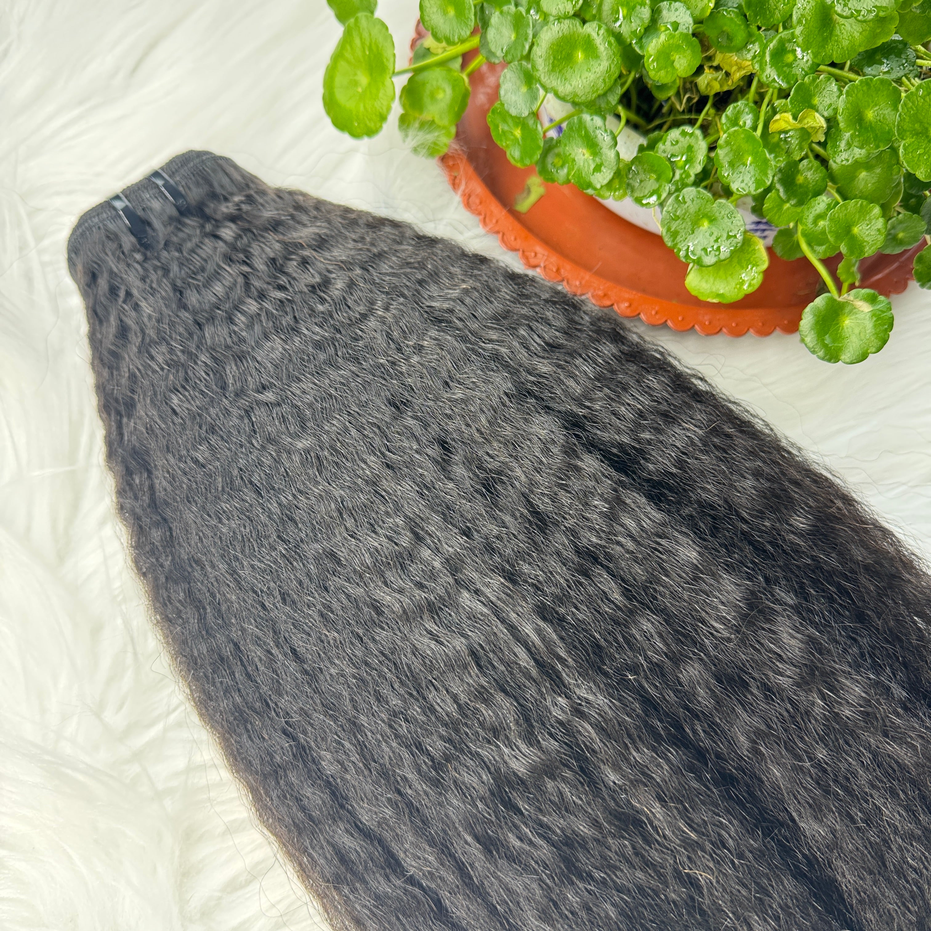 (3Bundles+5X5 HD Closure) Virgin Kinky Straight Hair Bundles Double Drawn