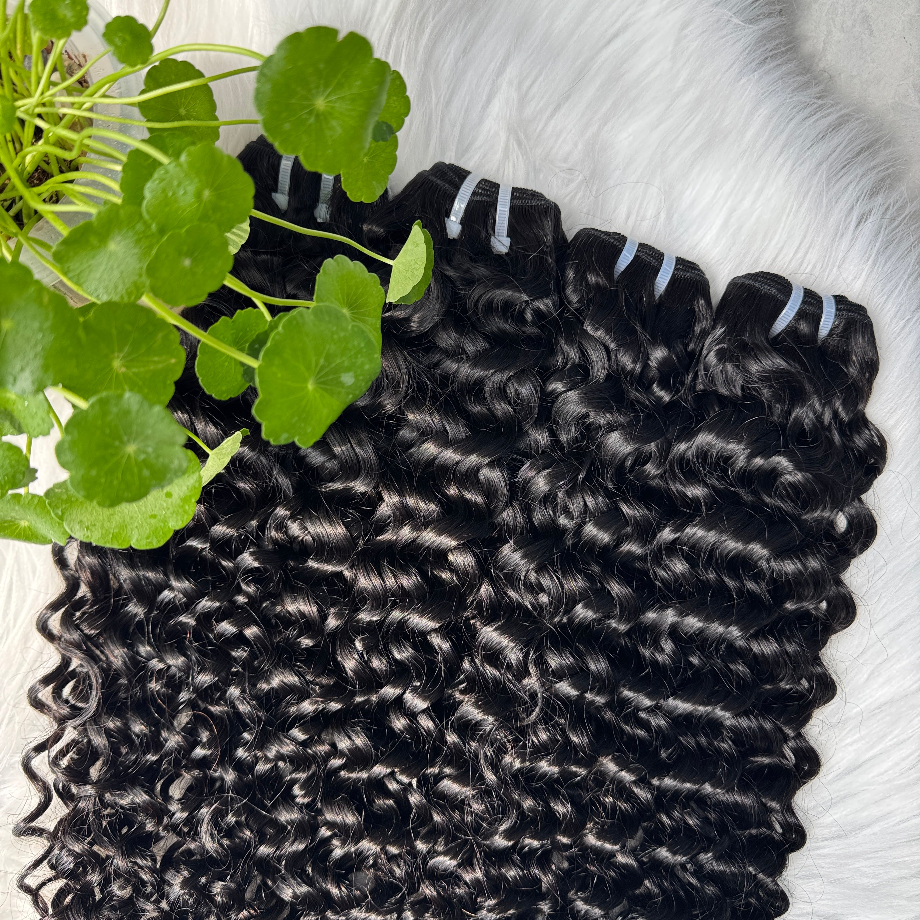 (3Bundles+5X5 HD Closure) Virgin Water Wave Hair Bundles Double Drawn